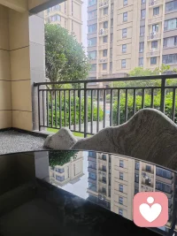 心定，最大的能量。配图