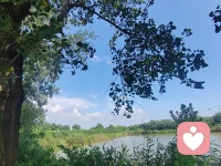 真正的认知提升，不在于懂得多少大道理，而在于时刻觉察自己固有的思维模式。看见执念，跳出惯性的判断，不断反思复盘，慢慢就拥有了通透看待人和事的能力。