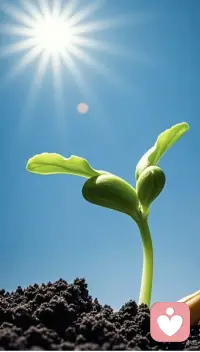 把认知边界当成世界全貌，以为自己所见即是全部，拒绝看见不同。