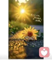 内心盛满温柔，才能向外馈赠温情；
心底盘踞怨怼，流露出来的只有刻薄。
你向外输出的一切，都是自己内心真实的写照。善待自己，清空怨念，世间万物才会对你柔软。