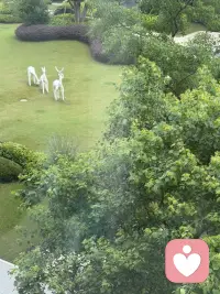 境本无相，烦恼皆由我执而起