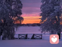 其实不是你矫情，你只是太累了…配图
