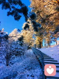 48岁才明白，爱自己才是终身浪漫的开始。配图