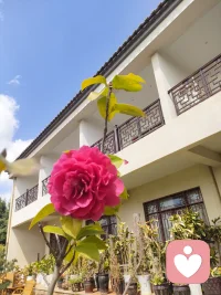 认知觉醒是一种能力，让我们成为更好的自己。拥抱变化，迎接未知，用全新的自己去诠释生活。让认知觉醒的力量引领我们走向更美好的未来。配图