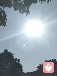 无论是个人还是人类，文明与历史遭遇的所有问题与困境，破解之道究竟而言只有一途：唤醒与生俱来的佛性（德性或曰良知），引领生命回归其自己而实现内在的终极解放。配图