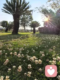 人生的意义，其实就藏在你的每一个真实的感受里，藏在你的每一个感受的体悟中；就是你早起时，喝下的那一碗热粥的温度；就是你晚归时路灯拉长的那一道影子的孤寂；就是你爱一个人时那怦然心动又小心翼翼的酸楚，就是你为了梦想撞的头破血流，却依然努力尝试的豪情！！