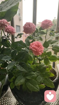 一个人很难在青春的时候享受青春！一个人很难在经历美好的时候，知道这是美好！