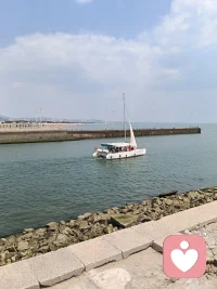 落大潮配图