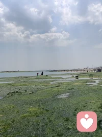 落大潮配图