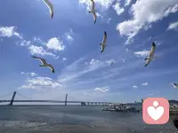 不必太纠结于当下，也不必太忧虑未来，当你经历过一些事情的时候，眼前的风景已经和从前不一样了配图