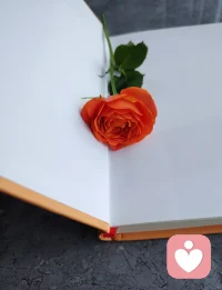 人生是10%发生在你身上的事，90%你的反应。
一个人的过往经历可以是故事，也可以是事故，关键在于你如何解读它。
有些事发生了就发生了，人生里没有几段故事反倒显得空白，无需去否定和抹煞什么，更无需自责，换一种方式去接纳和消化，看似不堪的经历才可能会成为你茁壮成长的养料。配图