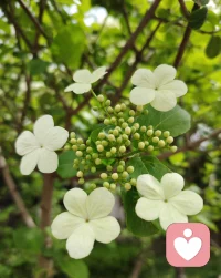 花开了不一定是春天，想开了才是配图