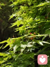 婚姻的本质就是在别人的镜子下整理自己配图