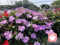 娟姐倾听，每天来报到，只要你愿意倾诉你的内心故事，娟姐一直都在守候着你！