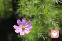 每天做好自己
有空来：娟姐倾听～诉说你的故事
时刻为你解忧，去愁……

你真诚，我用心，
你治愈，我开心❤️愿你也开心过好每一天！
加油！