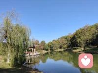💞老子言“天地不仁，以万物为刍狗”，道本无名、无形、无对立、无分别，所有的善恶、是非、进退、取舍，都是人心强加的定义。“道常无为而无不为”。无为，不是躺平不作为，而是不执、不迷、不困、不犟，不被世俗的道理绑架，不被二元的对立束缚，顺应天地规律，顺应本心本性，顺势而为，随缘而化。道生万物，却不主宰万物；万物有万象，却不离道之本源。
我们从小好似被两套完全相悖的道理裹挟：一边说“好马不吃回头草”，教我们傲骨向前、永不折返；一边说“浪子回头金不换”，劝我们放下执念、宽恕迷途。一边讲“退一步海阔天空”，以柔处世、息事宁人；一边又道“狭路相逢勇者胜”，以刚立身、寸步不让。上一句教我们宽容大度“宰相肚里能撑船”，下一句教我们坚守底线“有仇不报非君子”；前一句赞我们“出淤泥而不染”的孤洁，后一句便叹我们“近朱者赤近墨者黑”的无常。
千百年来，这些看似矛盾的话语，也从未被谁真正推翻。世人总在其中纠结、摇摆、内耗，要么执其一端而困于偏执，要么左右为难而失了本心。却极少有人看破：这世间本无绝对的对错，所有对立，皆是阴阳；所有矛盾，皆是道的显化。世俗的二元对立，从来不是真理的全貌，只是人心为了方便理解，给世界划下的界限。
世人眼中的矛盾，从来都不是敌对的两端，而是彼此依存、彼此转化、彼此成就的整体。阳尽则阴生，阴极则阳长，孤阴不生，独阳不长，没有任何一面可以脱离另一面独立存在。这世间从来没有固定不变的道理，只有合于时、合于势、合于心的变通。达者不讲对错，只讲平衡；不执一端，只守圆融。世人困于矛盾，不过是把一时的方法，当成了永恒的真理；把相对的境遇，当成了绝对的标准。
老子说：“物极必反”。执于任何一端，都会走向它的反面。执于“永不回头”，便会错过修正自我的机缘；执于“一味回头”，便会失去奔赴未来的勇气。执于“过度宽容”，便会沦为无底线的懦弱；执于“睚眦必报”，便会困于仇恨的牢笼……

迷时，处处是矛盾，句句是枷锁；悟时，句句是慈悲，万法归一心。一切事物都包含着相互矛盾的对立面，对立面之间既对立又统一，最终通过扬弃，达成更高层级的“一体”。世界的本质，是圆融而非对立；生命的真谛，是自在而非束缚；智慧的终极，是随心而非执理。理是死的，人是活的；法是变的，心是定的。