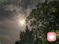 我和抑郁症还有双向情感障碍打交道已经10多年了，说实话，我已经变成了一个有一点点偏执的人，用同事的话讲，我是一个高智商的病患，清晰的知道自己的病情，也清晰的知道自己的历程，甚至知道什么时候该去治了，但是选择放任自流。
希望这些遍布天涯的朋友们，如果还有朋友，亲人，爱好，愿望，恐惧，只要你还有一丝丝的牵连请一定一定照顾好自己，你可以来跟我聊天，发文字不要钱的，别太委屈自己。配图