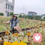 会听你说的头像