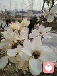  生命不是赶路，是感受路，每一步都有它的意义配图