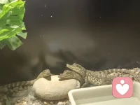 上天是很公平的人，得到一些注定就会失去一些，有时候失去是为了得到，有时候得到就意味着失去，这个世界上没有什么人什么都有，所有不要羡慕他人的所有，而是要珍惜自己所有！