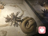 上天是很公平的人，得到一些注定就会失去一些，有时候失去是为了得到，有时候得到就意味着失去，这个世界上没有什么人什么都有，所有不要羡慕他人的所有，而是要珍惜自己所有！