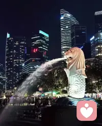 前年的这时候去了香港，去年的这时候去了新加坡马来西亚，参观了这里的大学，香港大学和新加坡国立大学，我一直提倡上学论，不是因为可以学到多少知识，因为文化层次是脱离阶层，是可以明事理，可以像雄鹰无所畏惧！