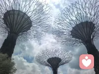 前年的这时候去了香港，去年的这时候去了新加坡马来西亚，参观了这里的大学，香港大学和新加坡国立大学，我一直提倡上学论，不是因为可以学到多少知识，因为文化层次是脱离阶层，是可以明事理，可以像雄鹰无所畏惧！