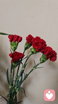 让生活美好起来吧，只是期待身体健健康康，平平安安，快快乐乐就好了配图