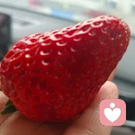 会听的头像