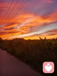 再别康桥
 
徐志摩
 
轻轻的我走了，
正如我轻轻的来；
我轻轻的招手，
作别西天的云彩。
 
那河畔的金柳，
是夕阳中的新娘；
波光里的艳影，
在我的心头荡漾。
 
软泥上的青荇，
油油的在水底招摇；
在康河的柔波里，
我甘心做一条水草！
 
那榆荫下的一潭，
不是清泉，是天上虹；
揉碎在浮藻间，
沉淀着彩虹似的梦。
 
寻梦？撑一支长篙，
向青草更青处漫溯；
满载一船星辉，
在星辉斑斓里放歌。
 
但我不能放歌，
悄悄是别离的笙箫；
夏虫也为我沉默，
沉默是今晚的康桥！
 
悄悄的我走了，
正如我悄悄的来；
我挥一挥衣袖，
不带走一片云彩。配图