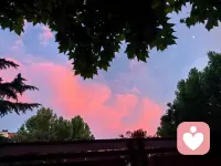 再别康桥
 
徐志摩
 
轻轻的我走了，
正如我轻轻的来；
我轻轻的招手，
作别西天的云彩。
 
那河畔的金柳，
是夕阳中的新娘；
波光里的艳影，
在我的心头荡漾。
 
软泥上的青荇，
油油的在水底招摇；
在康河的柔波里，
我甘心做一条水草！
 
那榆荫下的一潭，
不是清泉，是天上虹；
揉碎在浮藻间，
沉淀着彩虹似的梦。
 
寻梦？撑一支长篙，
向青草更青处漫溯；
满载一船星辉，
在星辉斑斓里放歌。
 
但我不能放歌，
悄悄是别离的笙箫；
夏虫也为我沉默，
沉默是今晚的康桥！
 
悄悄的我走了，
正如我悄悄的来；
我挥一挥衣袖，
不带走一片云彩。配图