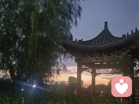 “心若没有栖息的地方，到哪里都是在流浪。”


“生命的滋味，无论是阳春白雪，青菜豆腐，都要自己去尝一尝。”