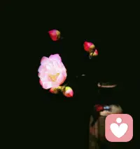 高效的陪伴是你懂她/他
放下所以的事配图