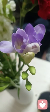 让我们永远行走在，健康的路上，有问候，有感恩，有情感，有快乐，更有每天的祝福配图