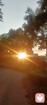 认真收藏每一缕微光，
然后，把自己活成发光的小太阳配图