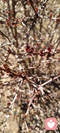 不慌不忙，安静享受此刻的风与光。 世间的美好，都在悄悄发生。 享受当下，便是最好的生活。