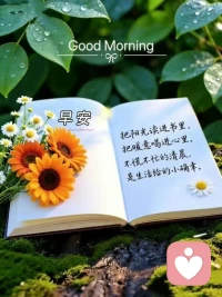 别让秀成为爱的枷锁，
现实的关系是去滤镜的经营！
早安😊加油😊