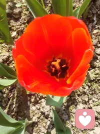 你有没有遇到跟我说说
在你看不见的地方忠诚于你
而不是在你看得见的地方装模作样
适合任何关系[合十][合十][合十]