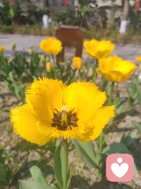 你的心里话给我说
一个女人极度想要一个家，不是没地方住，是房子里没有那个盼你回家的人。你想要一个肩膀，不是替你扛，是让你靠一靠；想要一句“有我在”，不是解决一切，是知道有人愿意一起面对。万家灯火，你想要的不过是有一盏为你亮着。那个人正在来的路上，在此之前，先替那个人好好照顾自己。