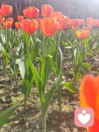 你有没有遇到说给我听？
我这辈子从来没有那么爱过一个人，却在人生过完之后掏心掏肺的爱上了一个不属于我的人，为了你，我打破了我的底线，放下了我的尊严，也许我没有取悦你的能力，但对待这段感情，我是真的用了心，我从没在乎过谁，却很在乎你，我从没有为谁失眠过，却为了你整夜整夜的失眠，我从未那么思念过一个人。却在人生过半之后掏心掏肺的爱上了一个不属于我的人！配图