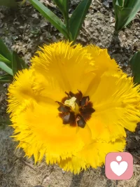 你有没有给我说说
1️⃣不管什么体面与尊严，拼尽全力爱到最后
磨掉自尊、耗光爱意、撞碎南墙
2️⃣撞破南墙的人，已求得对自己感情最彻底的交待，爱到淋漓尽致，缘尽时，方能彻底放下，全身而退配图