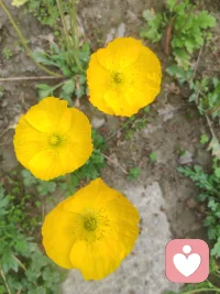 说说你现在是不是
一切的得到都是因为匹配，生命中为想要的努力就好，要么等，等不到也不必着急，那就是现实状态与他或她还不配！配图