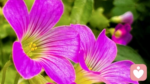 婚姻不是找对人,而是做对的自己!