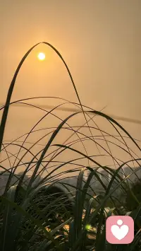 这天地间，万物皆有其独特的轨迹。山高水长，各有姿态；风轻云淡，各得其所。富有不仅是物质的丰盈，更是精神的充实；通透不在于外物的纷扰，而在于内心的澄明。每一种活法，都是一种生命的礼赞，顺应本心，便是最好的答案。
