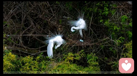 人生有什么放不下