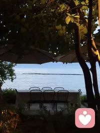 互联网姐姐！配图