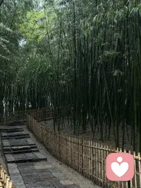 这里是安静的树洞，
不评判、不催促、不打断。
你可以慢慢说，我认真听。
愿每一份情绪，都被温柔接住。配图