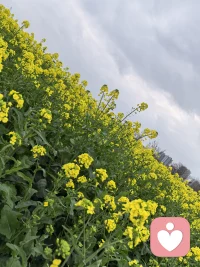 你无法确定自己的管教是否能对孩子起到有益作用，但是本能的自恋依赖让你难以放下，“没有我ta长不成好的样子”，“只有我能懂/救我的孩子”……错误的思想基础，导致管教双方都很痛苦。
母亲适当示弱，孩子更好成长。配图