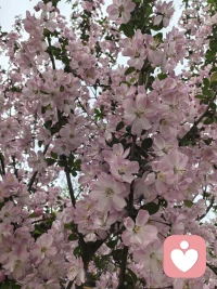 人一生都在混淆和梳理的东西：边界配图