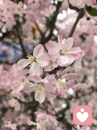 人生是一个过程，有些问题你已经发现了，但是从发现到面对再到解决，再到成长升维是一个过程，不可能一蹴而就，所以有时候就让自己活在不确定中，守住内心正确的信念，抛弃杂念，不否定不放弃，无力的时候就静待花开。